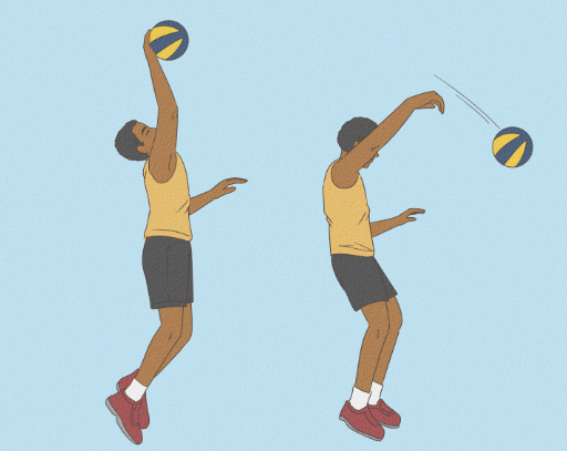 Cara-cara Untuk Melakukan Latihan Box Jump Profesional Voli