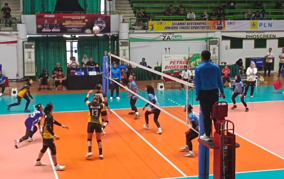 Teknik Toss Akurat untuk Serangan Voli Lebih Tajam