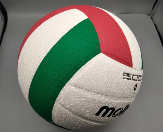 Jenis Bola Voli dan Standar Resmi Pertandingan